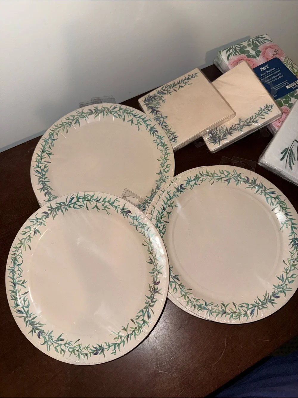 Pier 1 Cream 9” Dinner Plates w/ Green Leaf Border & Matching Napkins Disposabl